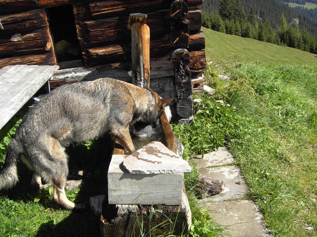 Apartmán Garber Uderns